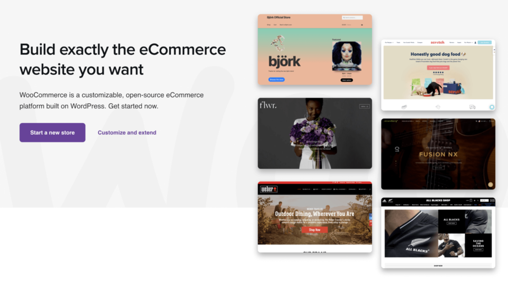 Build exactly the eCommerce site you want with WooCommerce in WordPress