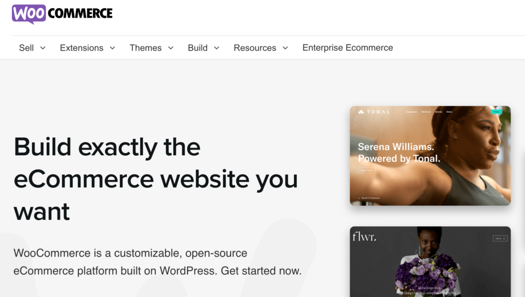 How to Build an eCommerce Website with WordPress